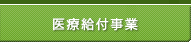 医療給付事業