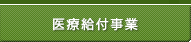 医療給付事業